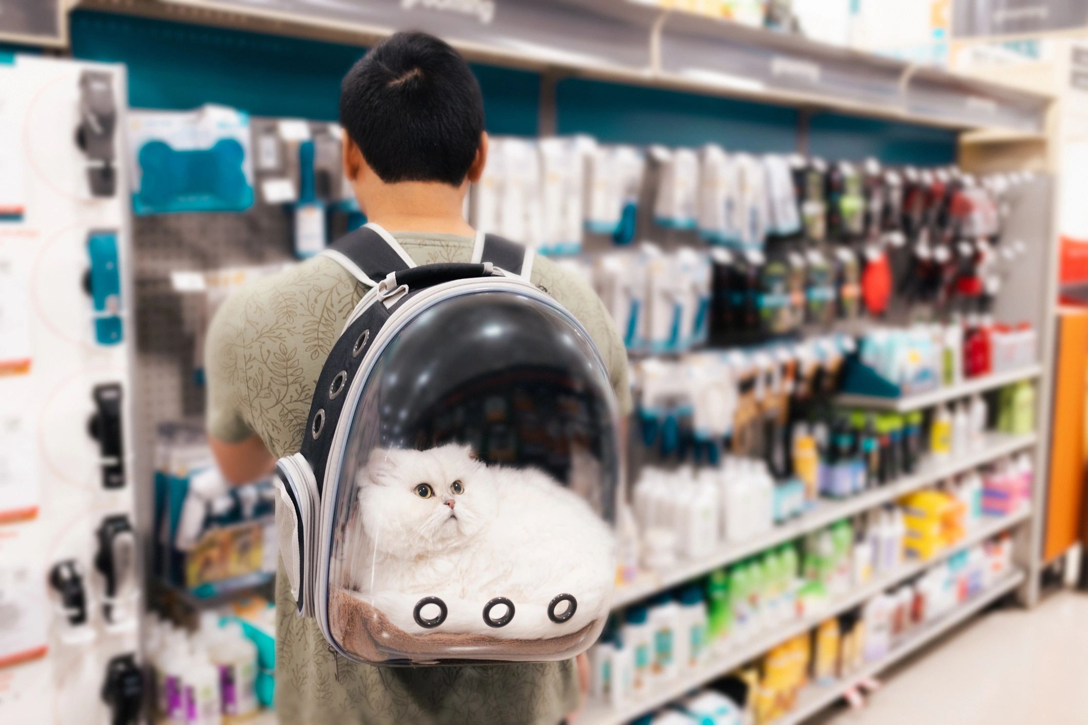 cat waste bag product