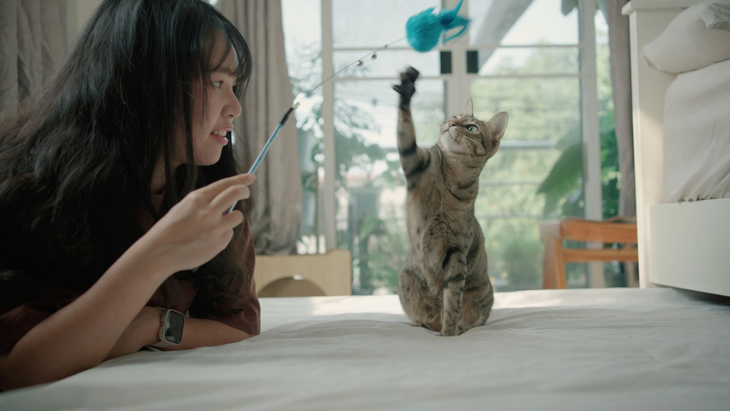 eco-friendly cat cleanup bags with green packaging and playful cat