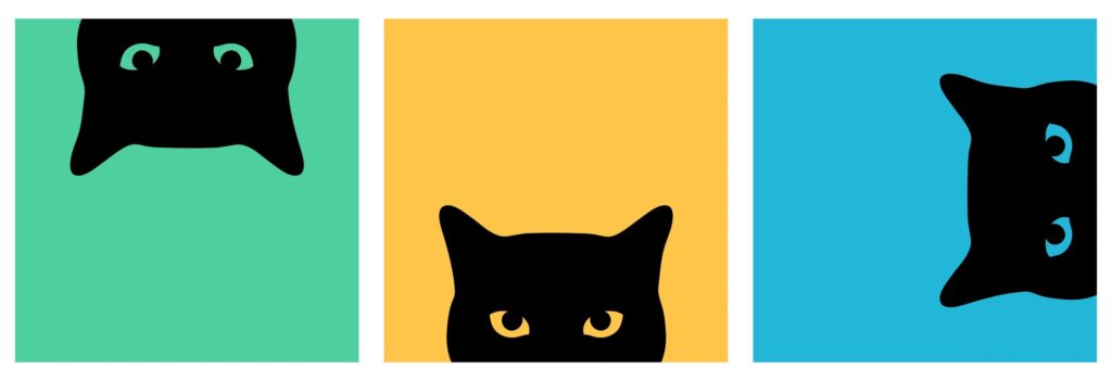 cute cat illustration
